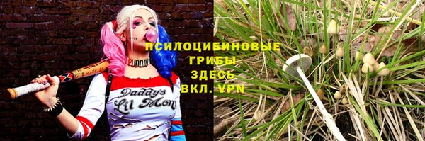 Альфа ПВП Михайловск