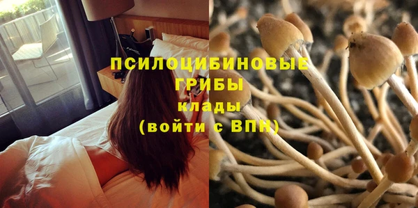 кристаллы Мегион