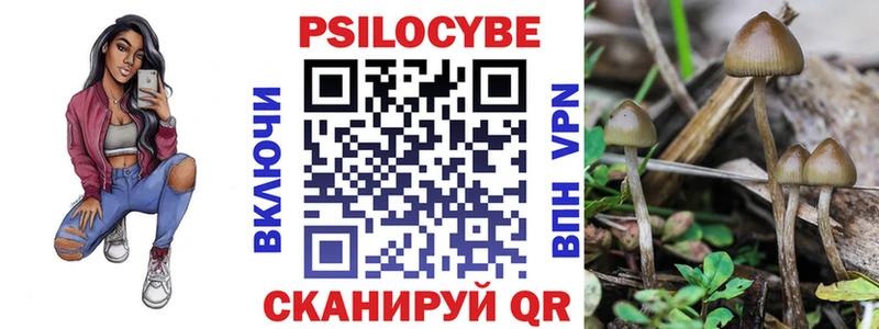 Псилоцибиновые грибы GOLDEN TEACHER  Михайловка 