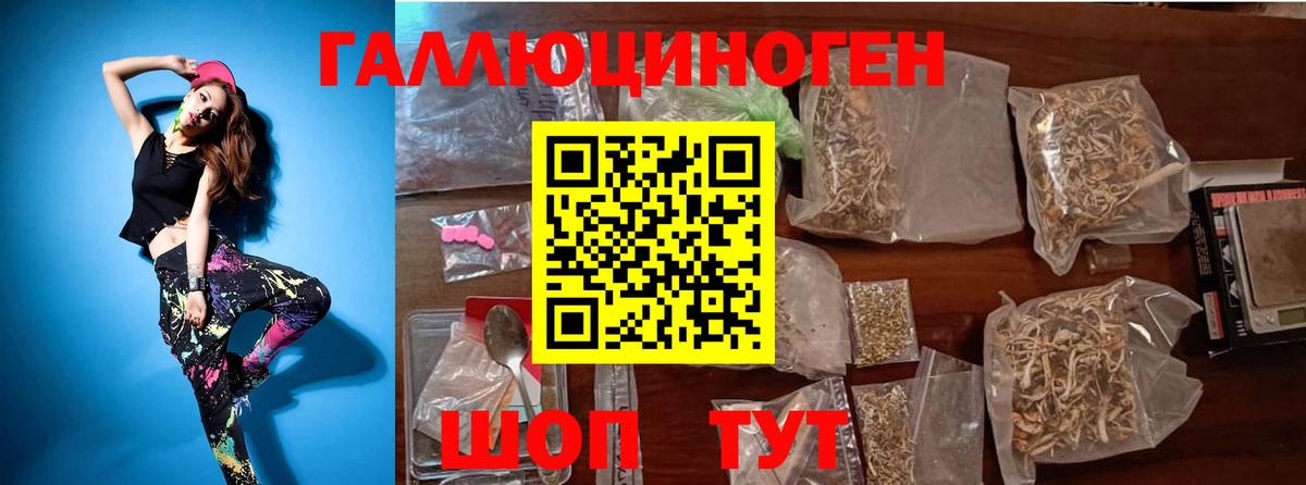 Галлюциногенные грибы Psilocybe Михайловка