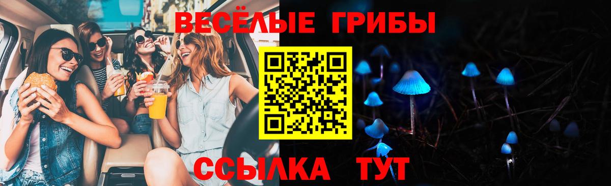 Галлюциногенные грибы MAGIC MUSHROOMS  Галлюциногенные грибы Cubensis  Михайловка 